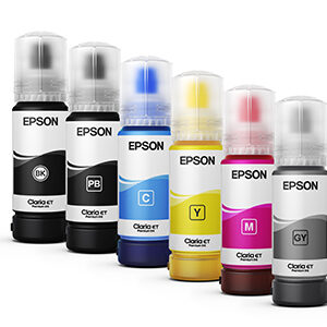 Cartucho  EPSON T555520-AL