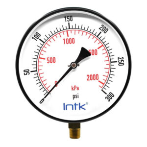 8" Standard, dry, pressure gauge, black steel case, 1/2" NPT, bottom connection, 0 to 300 psi-kPa