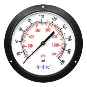 10" Standard, dry, pressure gauge, black steel case, 1/2" NPT, back connection, 0 to 200 psi-kPa