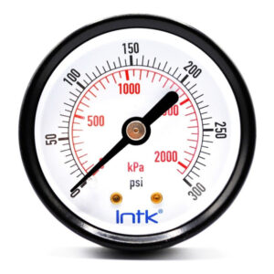 Manómetro 2", estándar, 1/4" NPT, posterior, 300 psi-kpa