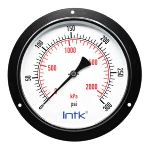 8" Standard, dry, pressure gauge, black steel case, 1/2" NPT, back connection, 0 to 300 psi-kPa