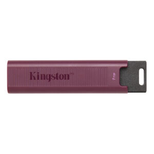 Memoria USB Kingston Technology DATATRAVELER MAX-A