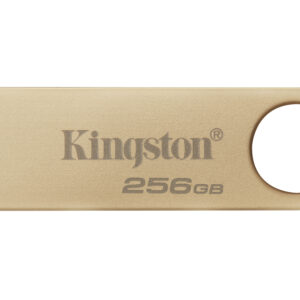 Memoria USB Kingston Technology DATATRAVELER SE9 G3