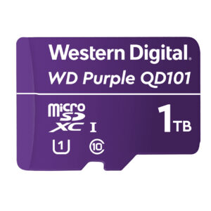 MicroSD SANDISK WDD100T1P0C