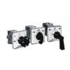 interruptor de leva (cam switch)